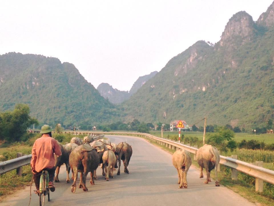 Phong Nha Midtown Hotel Cu Lac Bagian luar foto